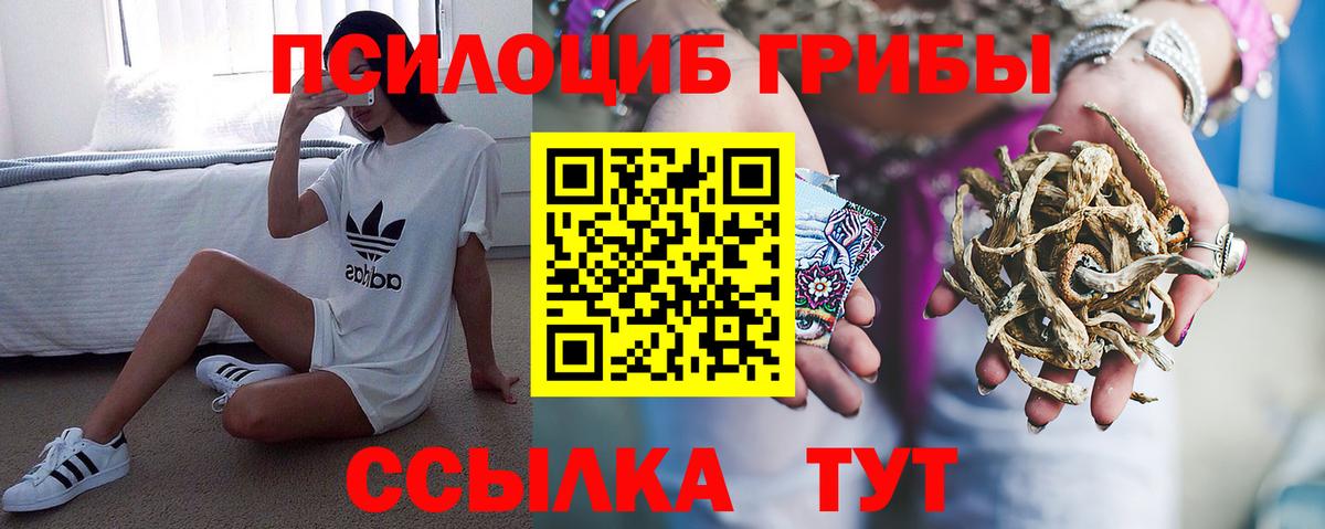 Псилоцибиновые грибы Magic Shrooms Печора